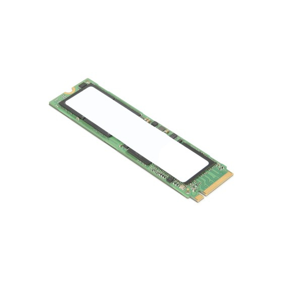 Dysk SSD Lenovo ThinkPad 256GB  4XB0W79580