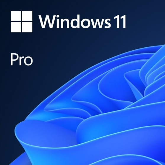 Microsoft Windows 11 Pro All La FQC-10572
