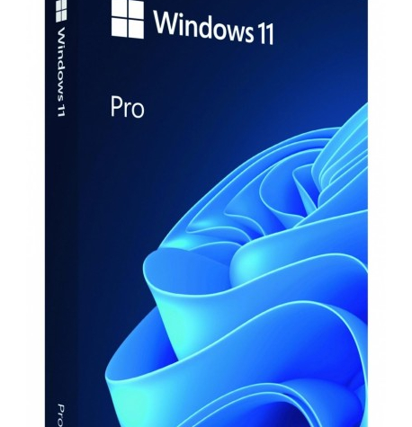 Microsoft Windows 11 Pro PL USB HAV-00209