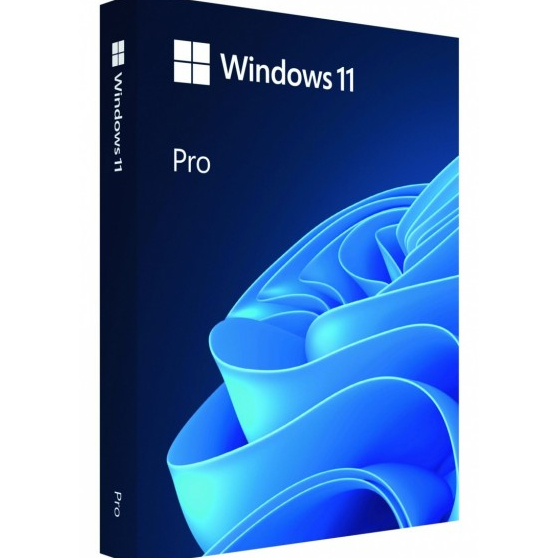 Microsoft Windows 11 Pro PL USB HAV-00209