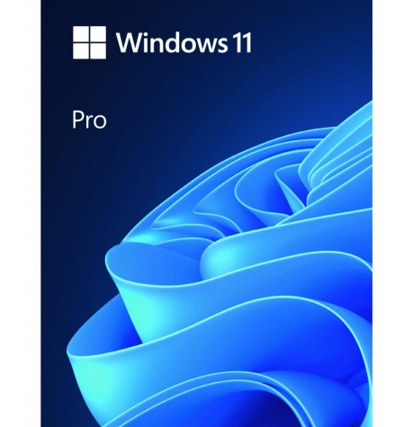 Microsoft Windows 11 Pro PL USB HAV-00209