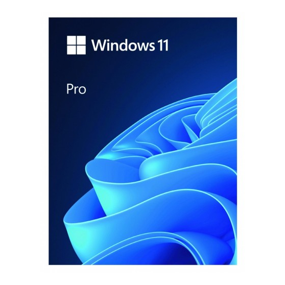 Microsoft Windows 11 Pro PL USB HAV-00209