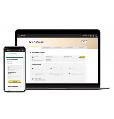 NORTON SMALL BUSINESS 2.0 250GB 21455133