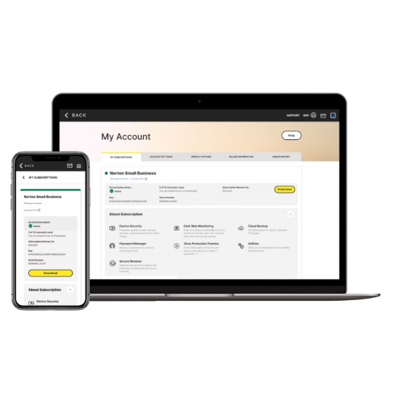 NORTON SMALL BUSINESS 2.0 250GB 21455133