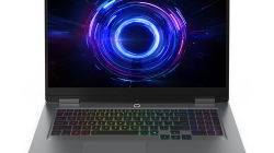 Laptop Lenovo LOQ 17IRX10 17.3 FHD IPS AG i5-13450HX 16GB 512GB RTX5050 Win11 Luna Grey